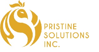 Pristine Solutions Inc