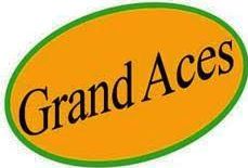 Grand Aces Ventures Inc