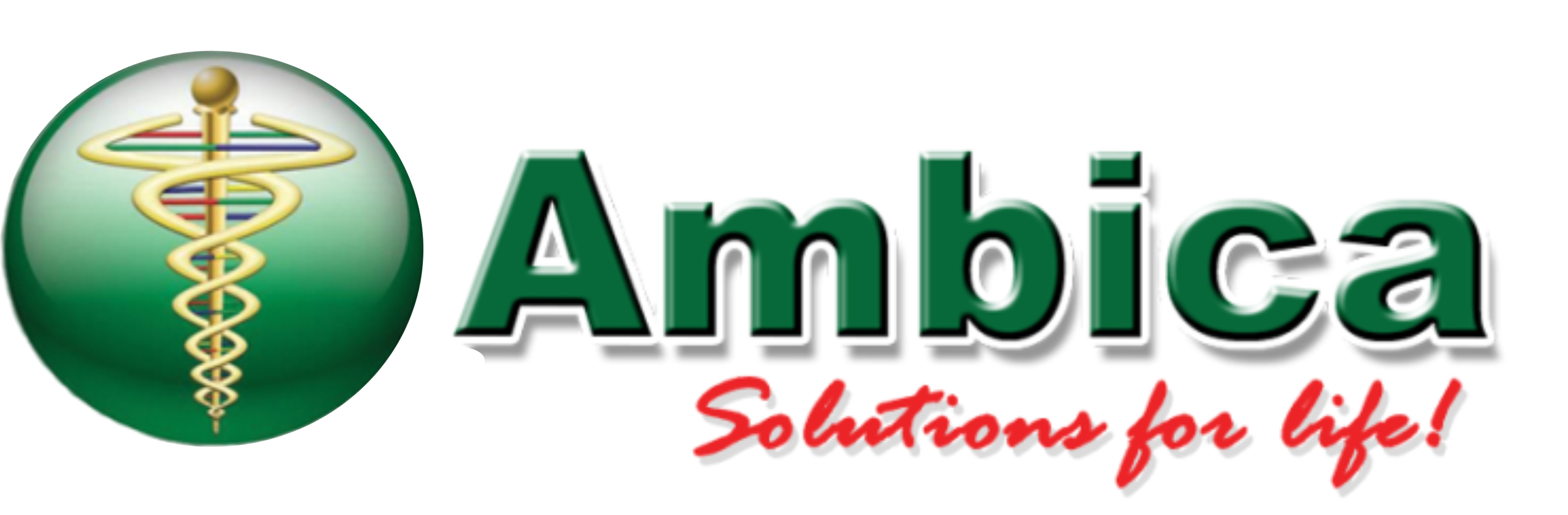 AMBICA INTERNATIONAL CORPORATION