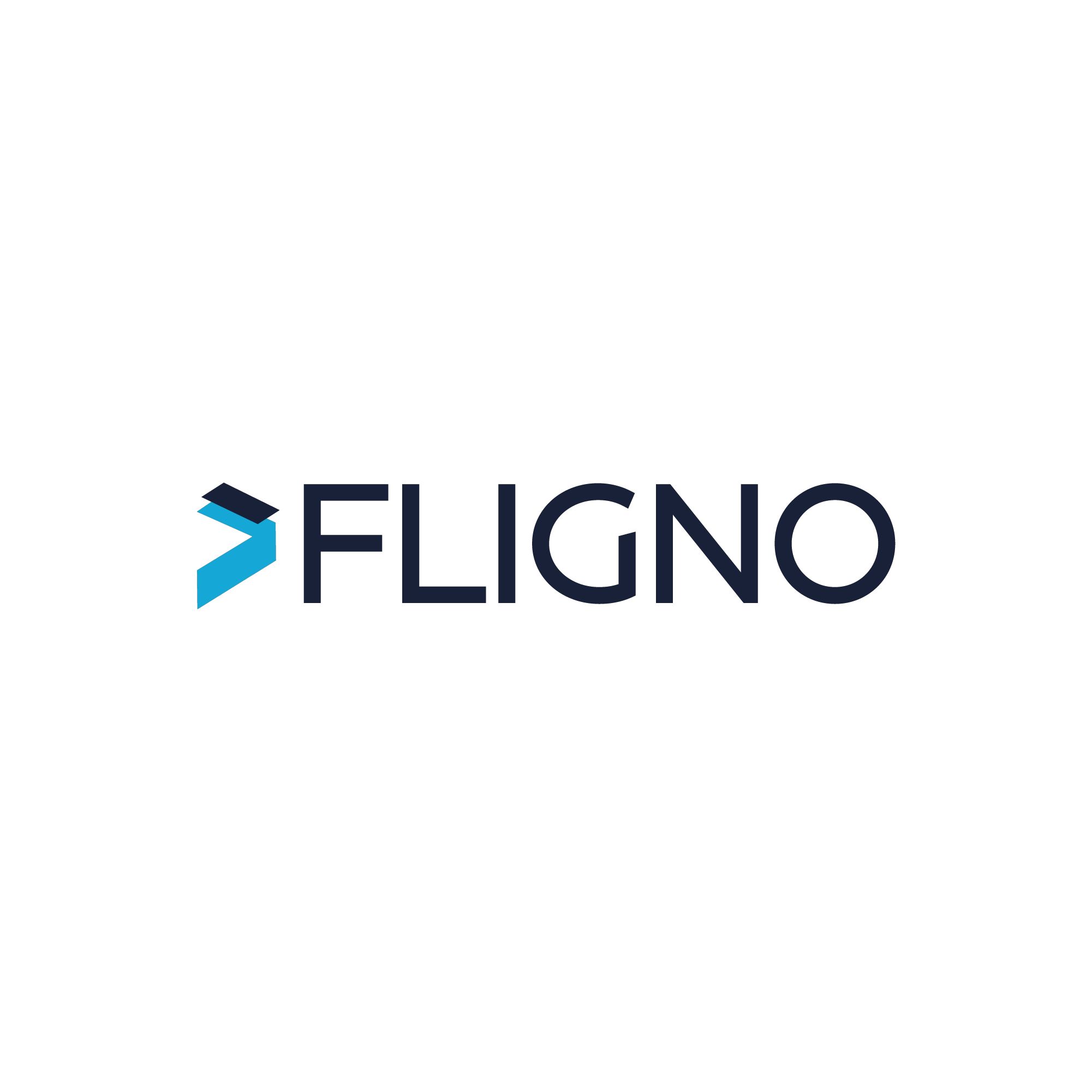 Fligno Software Philippines, Inc.