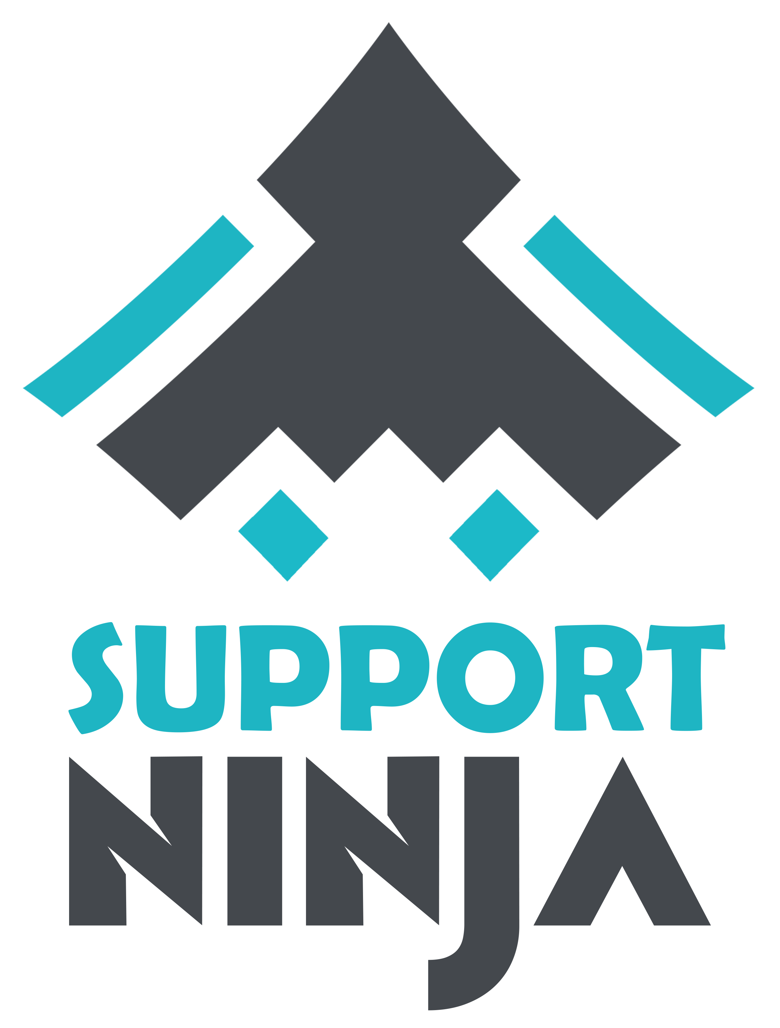 SupportNinja