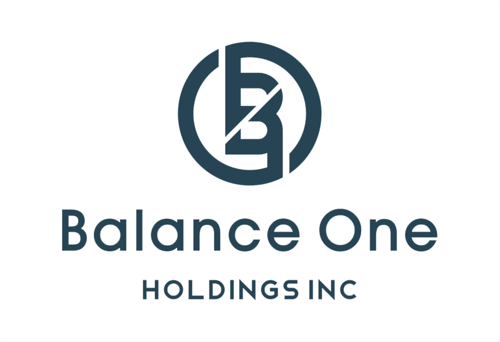 Balance One Holdings Inc